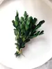 Paquete de materiales DIY hecho a mano flores mixtas plantas flores secas estilo bosque de jardín de infantes creación de anillos decoración piñas de Navidad