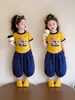Conjunto de Verano de Manga Corta para Niñas, Pantalones de Linterna de Manga Corta con Dibujos Animados Estilo Coreano para Niños, Elegante Conjunto de Dos Piezas de Verano para Bebés