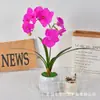 Planta de Vaso de Orquídea Phalaenopsis Artificial 12 Flores Enfeite de Mesa Decoração de Plástico para Casa Adereço para Fotografia de Flor Artificial Flor Artificial Simulação Escritório