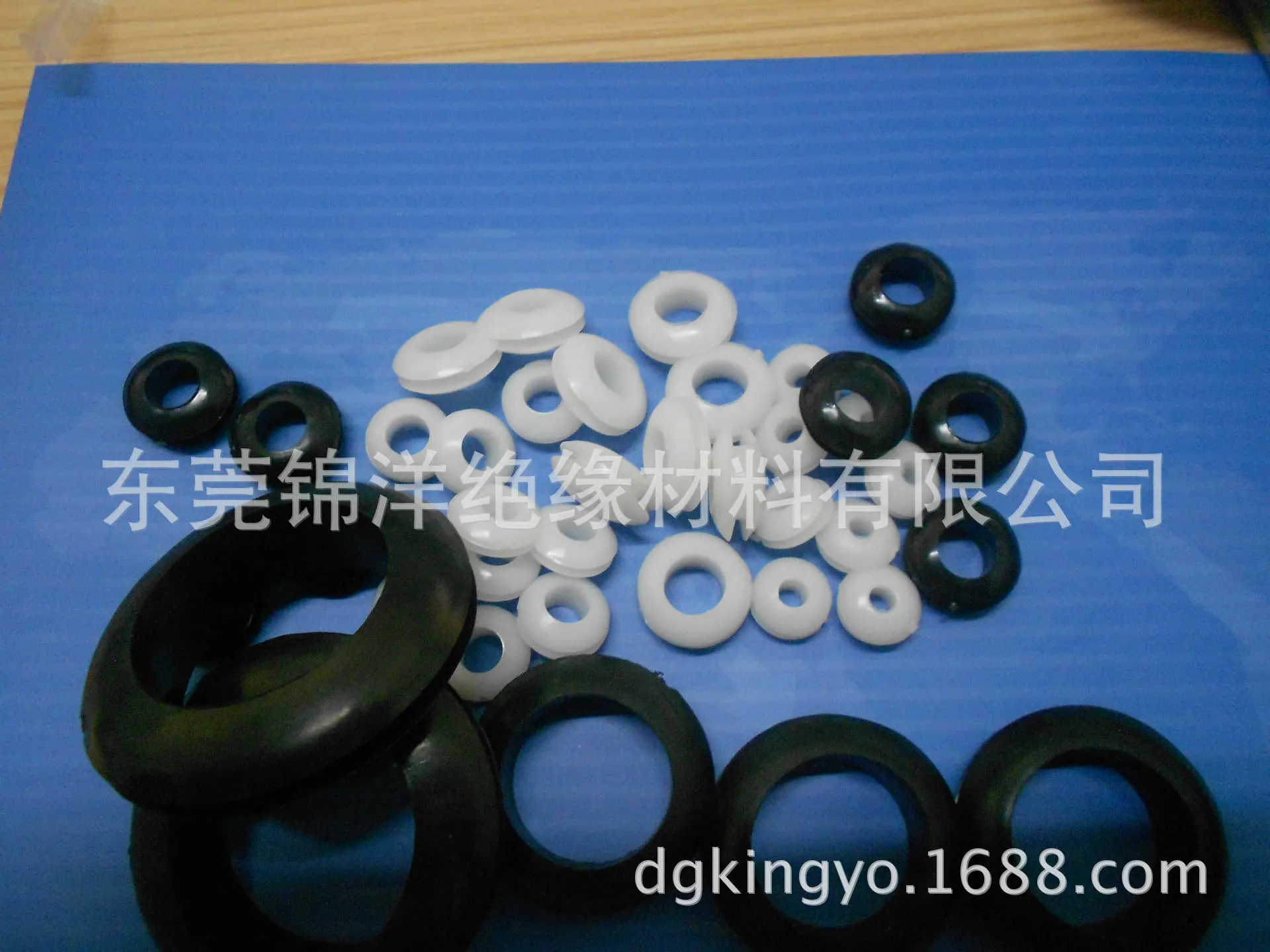 DSCN2909