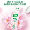 [Exclusivo para Compra em Grupo] Detergente para Lavar Roupa Íntima Good Dad 950g Fragrância de Cerejeira, Esterilização e Remoção Especial de Manchas de Sangue para Roupa Íntima