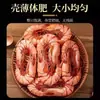 Camarão Seco Grelhado de Nove Seções Tamanho Extra Grande Carne de Camarão Pronta para Comer Frutos do Mar Frescos Satisfazendo a Vontade Lanche Casual Produtos Secos
