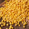 Frijol Mungo Pelado 500g Frijol Mungo Pelado Nuevo Llegado Pelado Descascarillado Frijol Mungo Pelado Ingredientes para Pastel Horneado