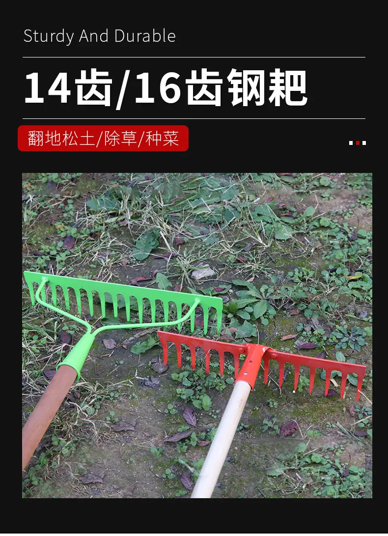 详情_01.jpg