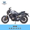 Muscle car Wolf adequado para 21/22 Honda CB650R bolsa lateral bolsa lateral retro caixa lateral modificação bolsa capacete liberação rápida