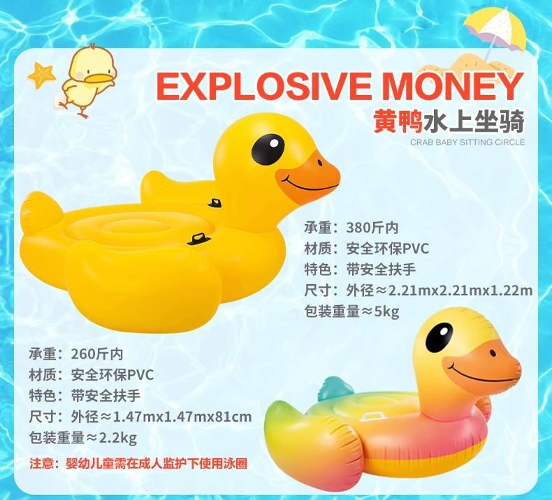 57556