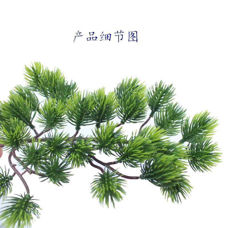 美人松 80叶0.4 (3) (1).jpg