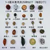 Fruta Fixa Natural Planta Fruta Casca Espécime Material Decoração Flores Secas Fatias Jardim de Infância DIY Pacote de Material de Natal