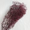 Flores secas, millones de estrellas, decenas de millones de estrellas, hierba teñida, cielo estrellado, decoración del hogar, arte, pequeño cielo estrellado