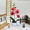Flor de Falanopsis de Cuatro Flores Piedra de Flor de Lluvia Bonsái Película de Impresión 3D Flor Artificial Adornos de Planta en Maceta Decoración de Escritorio de Oficina Flor Artificial