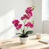 Nuevo Maceta de Arena Negra 17 Orquídeas Phalaenopsis Flor Artificial Bonsái Oficina Decoración del Hogar Flor de Simulación Película Adorno de Planta en Maceta Pequeña