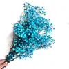 Buquê de Gipsofila Seca Preservada Flores Secas Brancas Flores Reais Secas ao Ar Flores Grandes Decoração de Sala de Estar Arranjo de Flores Flores para Fotografia de Casamento