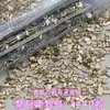 1440 Diamantes de Imitación para Uñas Color Champagne, Mini Diamantes de Imitación de Fondo Plano, Formas Irregulares, Al por Mayor, Brillo Deslumbrante, Uñas Portátiles para DIY, Diamantes de Imitación de Vidrio para Uñas