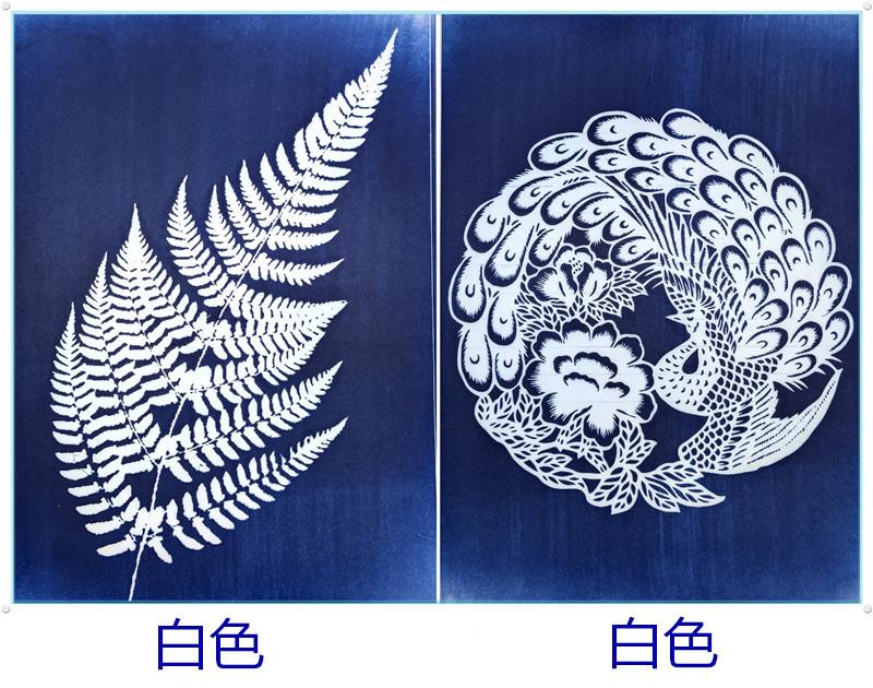 白色