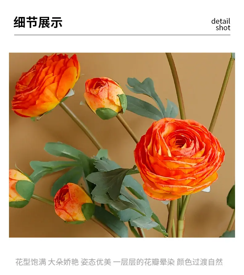 希德洋牡丹_15.jpg