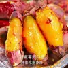 Batata-doce doce de durian real, Batata-doce amarela fresca, Batata-doce assada recém-desenterrada, Vegetais macios e doces