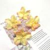 Punto Flor de Orquídea Mariposa Simulada Cabeza de Flor de Seda Dai Tocado Flor de Magnolia Cortina de Puerta Pasador Ropa Sombrero Flor Decorativa