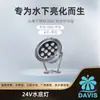 Luz de Holofote Colorida à Prova d'Água LED para Tanque de Peixes, Piscina, Paisagismo, Luz para Fonte Subterrânea, Luz Subaquática, Resistente à Água e ao Desgaste, Fornecimento Direto da Fábrica