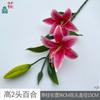 Lirio alto de dos cabezas, ramas 3D, lirio de ramas altas, decoración de suelo para el hogar, flor de simulación, decoración de ventana, flor de seda
