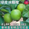 Plántulas de Naranja Roca Azucarada de Piel Verde para Jardines del Norte y del Sur, Maceta o Plantación en Suelo, Plántulas de Naranja Dulce Frutal Injertadas