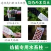 Pilar de musgo Sphagnum para pared, nuevo modelo 2026 para plantas tropicales, pilar de soporte para planta trepadora Monstera, se puede empalmar y extender para ajustar el tamaño