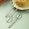 Colher Descartável Estilo Americano Brilhante Forte de Grau Alimentício, Cabo Longo Espessado, Colher Leve Comercial para Levar Sobremesa, Embalada Individualmente