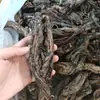Xizang Dan Shen Xizang Morado Dan Shen Rojo Dan Shen Xizang Dan Shen Al por Mayor y Distribución