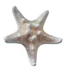 Estrellas de Mar Naturales Materiales Hechos a Mano DIY Adornos Decorativos Adornos Colgantes Estrella de Mar Plana de Cinco Puntas