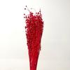 [Flor seca de frijol enamorado] Flor eterna de Yunnan, flor seca, frijol rico, arreglo floral, decoración del hogar, ramo, accesorios, fábrica al por mayor