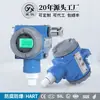 Instrumento Star CYYZ71C transmisor de presión anticorrosión intrínsecamente seguro a prueba de explosiones núcleo cerámico sensor de presión HART