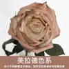 Pintura en Spray de Flores, Tinte Azul Hielo Triturado Salsa de Ciruela, Flor de Jabón, Flor Seca, Spray de Arte Floral, Suministros para Floristería al por Mayor