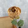 Peonía de un solo brote con núcleo, peonía redonda europea, decoración de boda, pared de flores, fotografía del hogar, accesorios de fotografía, flores
