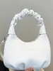 Bolso de Mano Plisado de Moda Bolso de Mujer 2025 Nuevo Diseño de Nicho Bolso Cruzado Estilo Primavera y Verano Estilo Normcore Bolso de Hombro