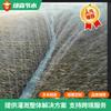Cinta de Riego Agrícola, Fabricante de Cinta de Riego para Invernaderos, Riego por Aspersión Atomizada, Cinta de Riego por Aspersión Ahorradora de Agua, Manguera Suave de Agua para Riego, Cinta de Microaspersión