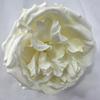 Fonte fábrica Austin flor flor parede arranjo flor casamento estrada guia decoração festival evento definindo falsa cabeça de flor