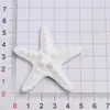 Acessórios de Resina Estrela-do-Mar Azul Mineral Mais Vendidos para Tamancos DIY, Atacado do Fabricante Pj1710