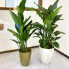 Diamante forma de diamante maceta grande lujo simple estilo europeo paraíso de plantas verdes grandes pájaro del paraíso balcón polígono engrosado grande