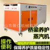 Máquina de Curado al Vapor de Concreto Puente Equipo de Calentamiento con Vapor Totalmente Automático Generador de Vapor Eléctrico