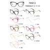 Sudeste Asiático comercio electrónico TR con metal versátil negocio moda montura de gafas popular simple y cómodo ojo de gato rico 9013