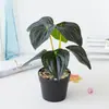Planta Verde Variedades Folha de Tartaruga Combinação Decoração de Interiores Nórdica Flor Artificial Planta em Vaso Vaso de Flores Parede de Plantas Decoração de Jardim