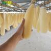 Esponja de Luffa Natural para Lavar Louça, Esfregão para Panelas, Esponja de Lavar Louça, Polpa de Luffa para Hotel, Pano de Lavar Louça para Pousada, Especial para Cozinha