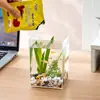 Acuario, Tanque para Peces Betta, Tanque Pequeño para Camarones, Tanque Cuadrado de Plástico Ultra Transparente para Escritorio de Oficina, Imitación de Vidrio, Tanque de Paisajismo