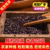 Arroz Roxa Mojiang, a Terra Natal do Arroz Roxa, Arroz Glutinoso Roxa Sem Corante, Especialidade de Arroz Roxa, Suporta Dropshipping, Atacado e Varejo