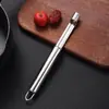 Pelador de acero inoxidable Pelador de frutas multifuncional manual Herramienta para quitar el hueso de cereza Separador de huesos de dátil