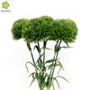 Arreglo Floral de Boda Flores Artificiales Flor de Bambú Piedra Verde de Alta Calidad Personalizado Bolas de Pelo Verde Decorativas de Bosque Flor Artificial Venta al Por Mayor