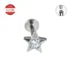 Conjunto de Brincos para Lábio e Unha em Liga de Titânio G23 Formato de Animal Gato Borboleta Estrela de Cinco Pontas Folha Piercing para Nariz Joias