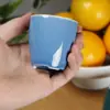 Xícara de Chá Cerâmica para Casa individual retrô criativa mini conjunto de chá de porcelana Xícara de Chá atacado