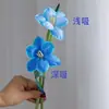 Colorante para flores, absorbente de color para rosas, solución absorbente de color, tinte, colorante para ramos y floristerías