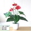 Plantas de Potos Simuladas, Plantas Verdes Falsas, Adornos de Flores Simuladas, Café Internet, Sala de Estar, Dormitorio, Club de Hotel, Adornos de Plástico, Envío Gratis