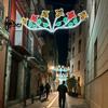 Luz de Calle LED para Frutas Uvas Cruce Festival Calle Comercial Noche Proyecto Municipal Iluminación Decoración Colgante de Calle